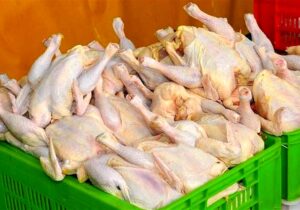 مرغ به کمتر از قیمت مصوب می‌رسد؟