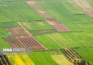 ثبت مالکیت ۶۰۰ هزار هکتار از اراضی کشاورزی خوزستان