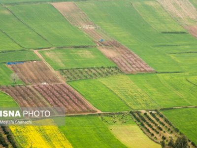 ثبت مالکیت ۶۰۰ هزار هکتار از اراضی کشاورزی خوزستان